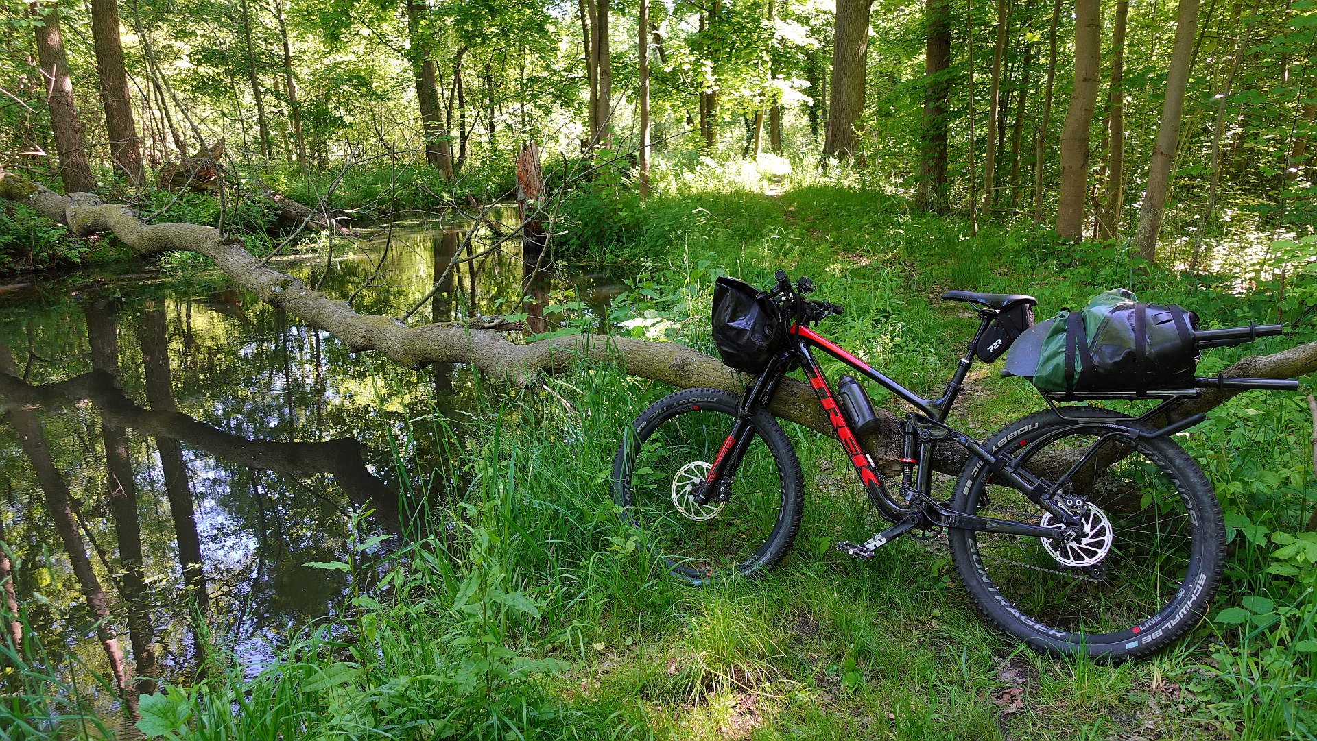 BUSHraft - ForestLOVE Pro - obrazek 11