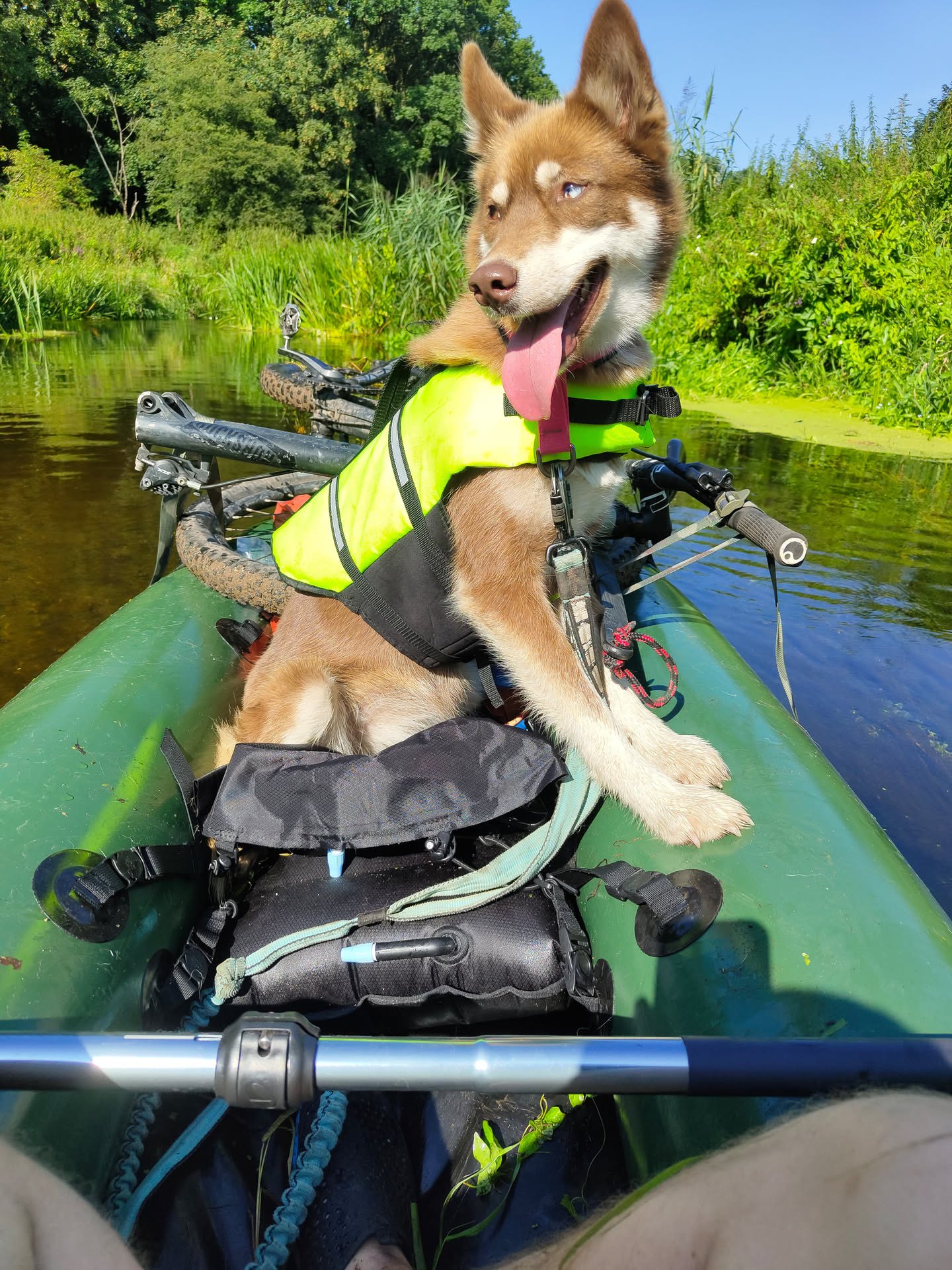 BUSHraft - Husky Pro 2.0 - obrazek 11