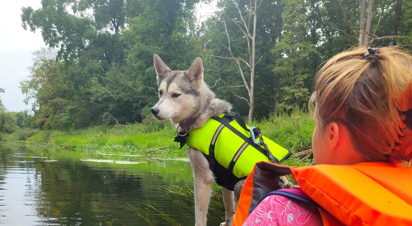 BUSHraft - Husky Pro 2.0 - obrazek 23