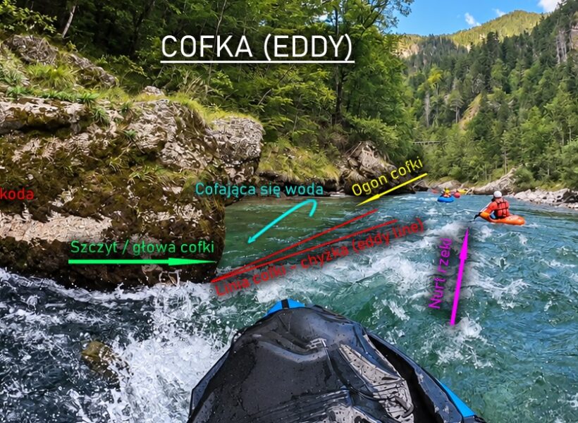 Cofka