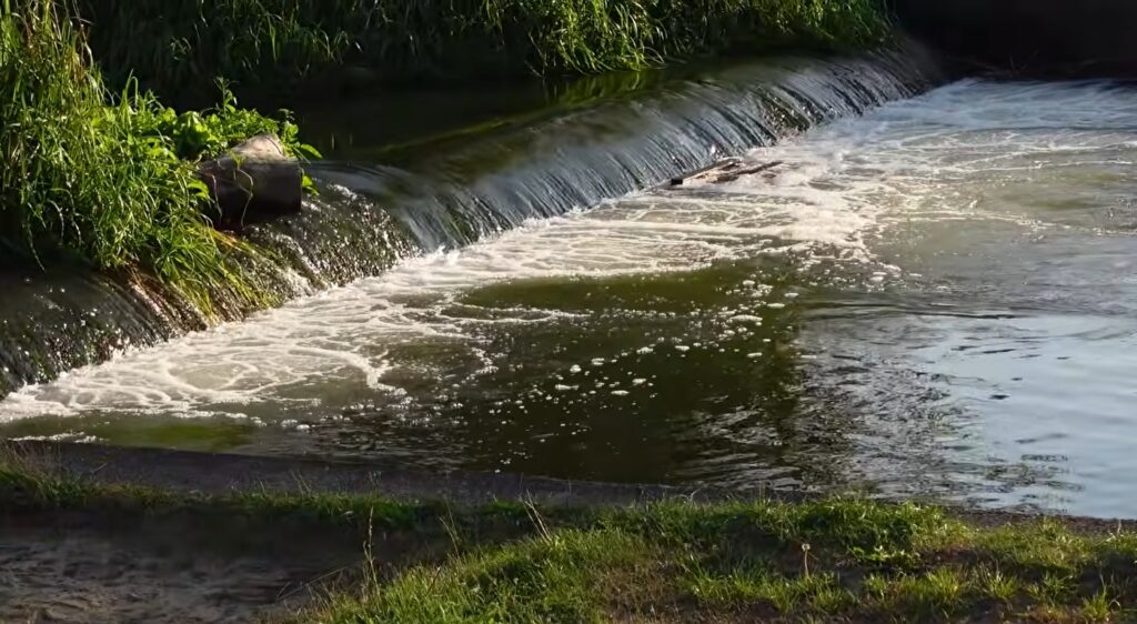 Odwój